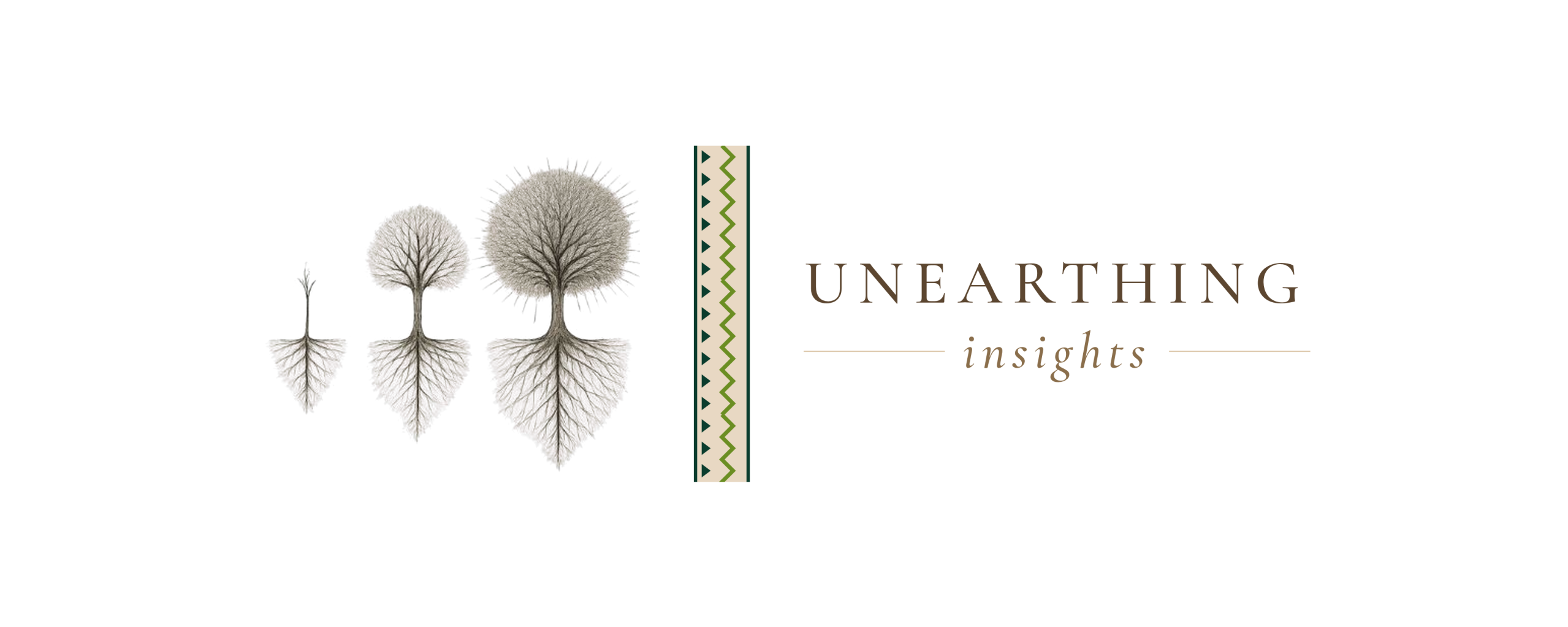 Unearthing Insights Africa